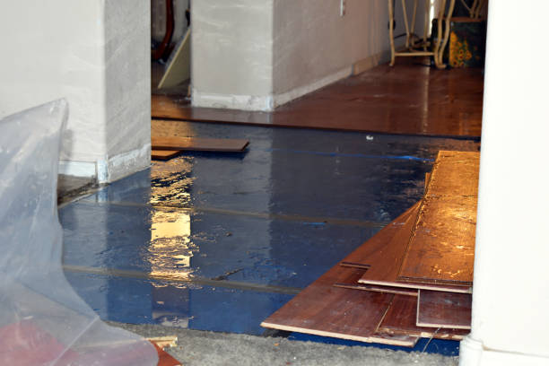 Professional Sewage Cleanup technician working in Concord, NH